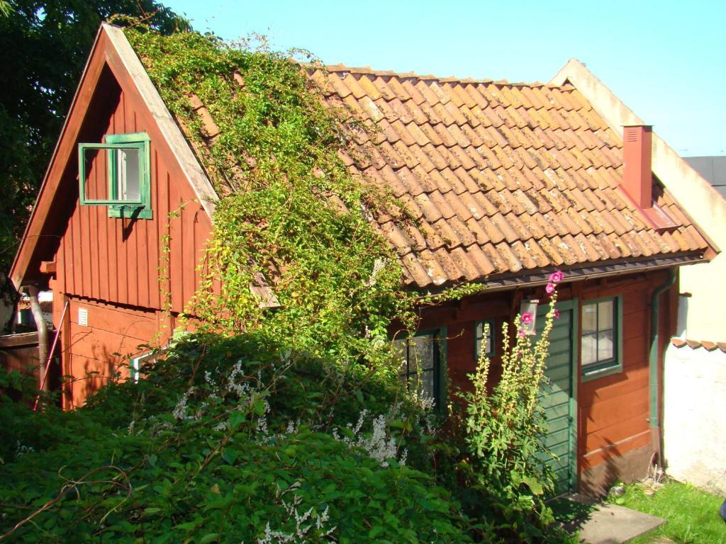 Visby Logi & Vandrarhem Albergue Habitación foto